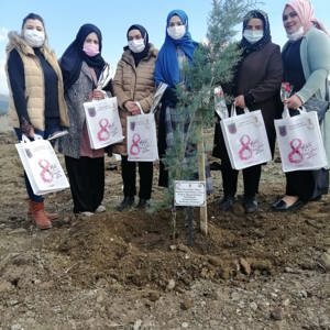 Mercan Ormanları Kahramanmaraş’la birlikte Tüm Türkiye’de - fotoğraf 11