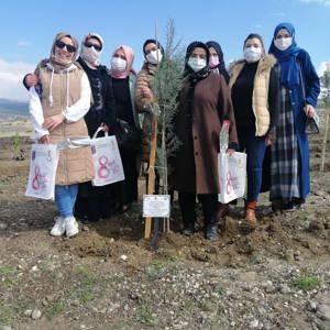 Mercan Ormanları Kahramanmaraş’la birlikte Tüm Türkiye’de - fotoğraf 14
