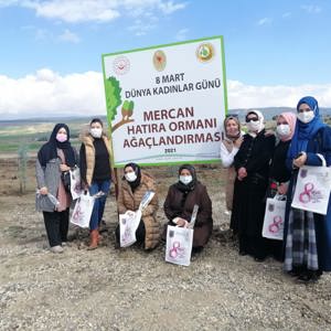 Mercan Ormanları Kahramanmaraş’la birlikte Tüm Türkiye’de - fotoğraf 15
