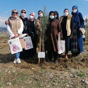 Mercan Ormanları Kahramanmaraş’la birlikte Tüm Türkiye’de - fotoğraf 16