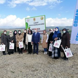 Mercan Ormanları Kahramanmaraş’la birlikte Tüm Türkiye’de - fotoğraf 19