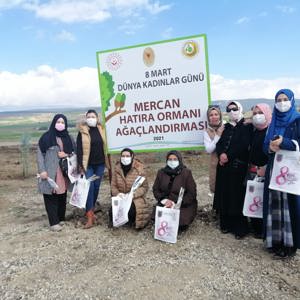 Mercan Ormanları Kahramanmaraş’la birlikte Tüm Türkiye’de - fotoğraf 20