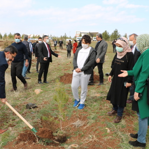 8 Mart Dünya Kadınlar Günü “Mercan Ormanları” Etkinliği - fotoğraf 3