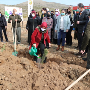 İlimizde “Mercan Hatıra Ormanı” Oluşturuldu  - fotoğraf 1