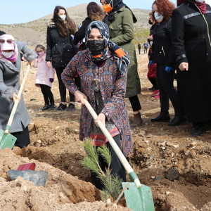 İlimizde “Mercan Hatıra Ormanı” Oluşturuldu  - fotoğraf 2