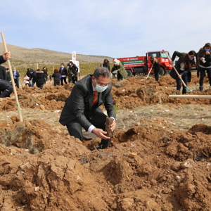 İlimizde “Mercan Hatıra Ormanı” Oluşturuldu  - fotoğraf 3