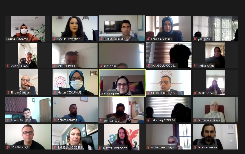 We Provided Training to Our Professional Staff Working with Unaccompanied Minors