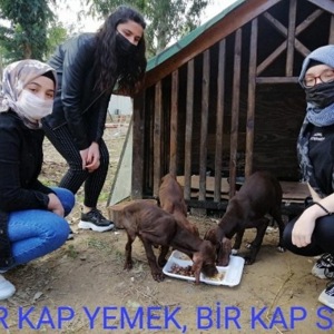 4 Nisan Dünya Sokak Hayvanları Günü - fotoğraf 1