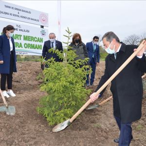 Edirne İlimizde “Mercan Hatıra Ormanı” Oluşturuldu - fotoğraf 6