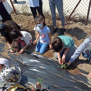 Çocuklarımız Hobi Bahçesine Sebze Fidesi Dikip Can Suyu Döktü - fotoğraf 5