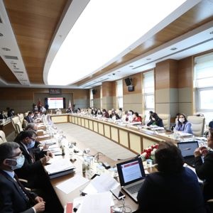 Bakanımız Sayın Derya Yanık, TBMM Kadına Yönelik Şiddetin Sebeplerinin Belirlenmesi Araştırma Komisyonu'nun sorularını yanıtladı - fotoğraf 3