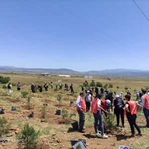 Bingöl’e Nefes, Kadına Şiddete Ses “Mercan Ormanı” - fotoğraf 7