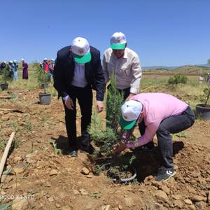 Bingöl’e Nefes, Kadına Şiddete Ses “Mercan Ormanı” - fotoğraf 9