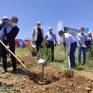 Bingöl’e Nefes, Kadına Şiddete Ses “Mercan Ormanı” - fotoğraf 14