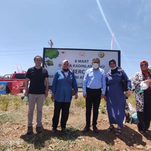 Bingöl’e Nefes, Kadına Şiddete Ses “Mercan Ormanı” - fotoğraf 19
