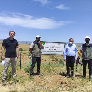 Bingöl’e Nefes, Kadına Şiddete Ses “Mercan Ormanı” - fotoğraf 21