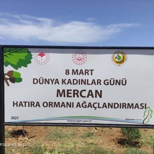 Bingöl’e Nefes, Kadına Şiddete Ses “Mercan Ormanı” - fotoğraf 26