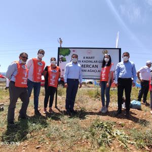 Bingöl’e Nefes, Kadına Şiddete Ses “Mercan Ormanı” - fotoğraf 1