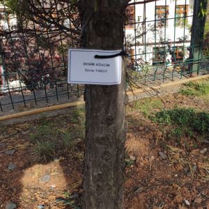 Benim ağacım etkinliği - fotoğraf 3