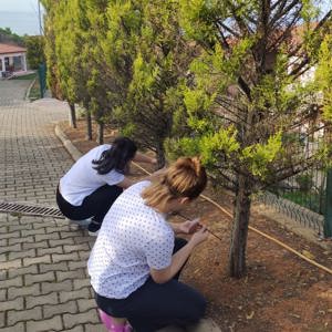 Benim ağacım etkinliği - fotoğraf 4