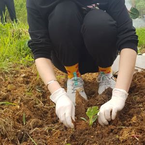 Hobi bahçesi etkinliği - fotoğraf 1