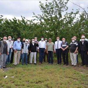 Huzurevi Sakinleri Kiraz Hasadında Buluştu - fotoğraf 1