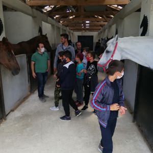 At Çiftliği Gezisi - fotoğraf 1