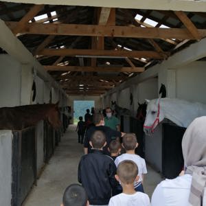 At Çiftliği Gezisi - fotoğraf 3