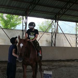 At Çiftliği Gezisi - fotoğraf 6