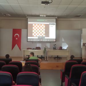 Online Satranç Eğitimleri - fotoğraf 2