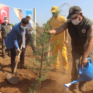 15 Temmuz Demokrasi ve Milli Birlik Günü anma etkinlikleri kapsamında Köyceğiz Şehit Astsubay Ömer Halisdemir Hatıra Ormanı’nda fidan dikimi etkinliği düzenlendi. - fotoğraf 3