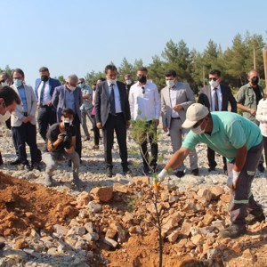 15 Temmuz Demokrasi Ve Milli Birlik Günü Nedeniyle İlimizde Çeşitli Etkinlikler Düzenlendi. - fotoğraf 3