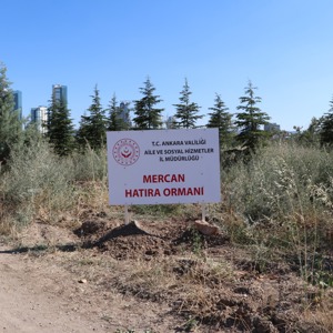 Bakanımız Yanık: “Pandemide özveriyle çalışan kadınlarımızın isimlerini Mercan Seferberliği Ormanlarında yaşatacağız” - fotoğraf 1