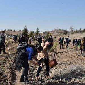 Bakanımız Yanık: “Pandemide özveriyle çalışan kadınlarımızın isimlerini Mercan Seferberliği Ormanlarında yaşatacağız” - fotoğraf 3