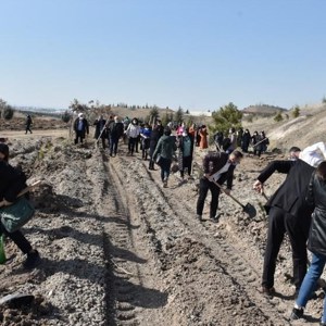 Bakanımız Yanık: “Pandemide özveriyle çalışan kadınlarımızın isimlerini Mercan Seferberliği Ormanlarında yaşatacağız” - fotoğraf 4