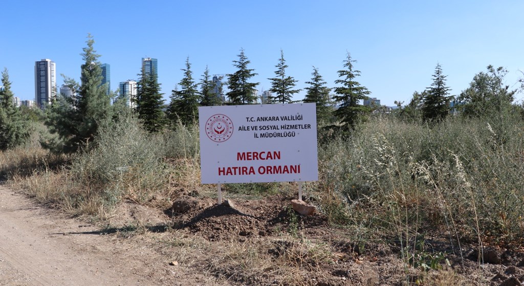 Bakanımız Yanık: “Pandemide özveriyle çalışan kadınlarımızın isimlerini Mercan Seferberliği Ormanlarında yaşatacağız”