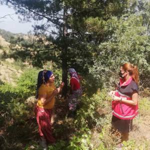 Psikososyal Destek Ekiplerimiz Karacasu ve Çine’de çıkan yangınlardan etkilenen vatandaşlarımıza destek olmak için sahada yer aldı - fotoğraf 4
