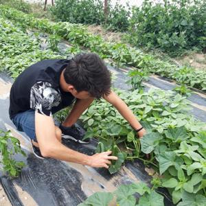 Çocuk Evlerindeki Çocuklarımız Ektiklerini Biçiyor - fotoğraf 1