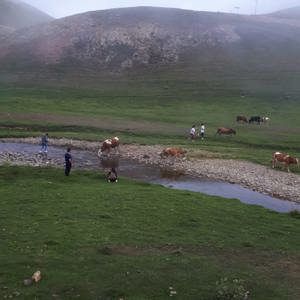 Yayla Gezisi - fotoğraf 1