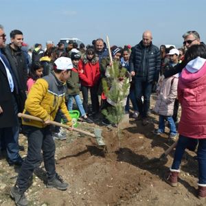 Çocuk Bahçesi Ağaç Dikim Kampanyası - fotoğraf 4