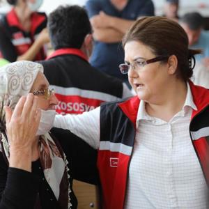 Orman Yangınları ve Sel Felaketlerine İlişkin Psikososyal Destek Çalışmaları Devam Ediyor - fotoğraf 1