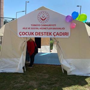 Orman Yangınları ve Sel Felaketlerine İlişkin Psikososyal Destek Çalışmaları Devam Ediyor - fotoğraf 9
