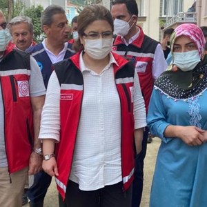 Orman Yangınları ve Sel Felaketlerine İlişkin Psikososyal Destek Çalışmaları Devam Ediyor - fotoğraf 1