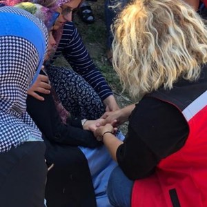 Orman Yangınları ve Sel Felaketlerine İlişkin Psikososyal Destek Çalışmaları Devam Ediyor - fotoğraf 4