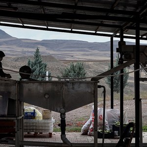 Türk Kadınlarının Ürettiği Ev Salçaları Avrupa Pazarında İlgi Görüyor - fotoğraf 3