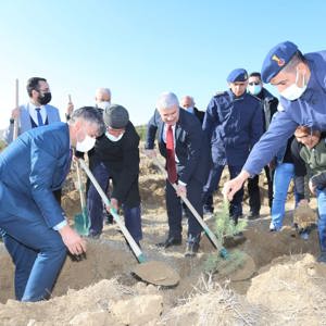 Jandarma Şehitler Ormanına Fidan Dikildi - fotoğraf 2