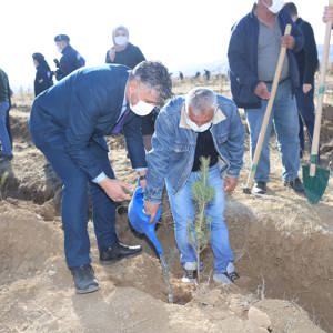 Jandarma Şehitler Ormanına Fidan Dikildi - fotoğraf 3