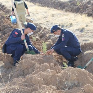 Jandarma Şehitler Ormanına Fidan Dikildi - fotoğraf 4