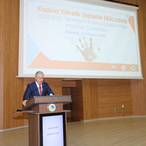 Kadına Yönelik Şiddetle Mücadelede 2022-2025 Yıllarını kapsayacak İl Eylem Planını hazırlamak amacıyla düzenlenen Çalıştay Valimiz Sayın İbrahim Akın başkanlığında yapıldı. - fotoğraf 3