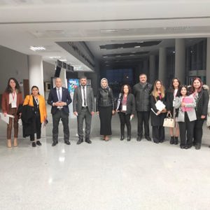 Kadına Yönelik Şiddetle Mücadelede 2022-2025 Yıllarını kapsayacak İl Eylem Planını hazırlamak amacıyla düzenlenen Çalıştay Valimiz Sayın İbrahim Akın başkanlığında yapıldı. - fotoğraf 6